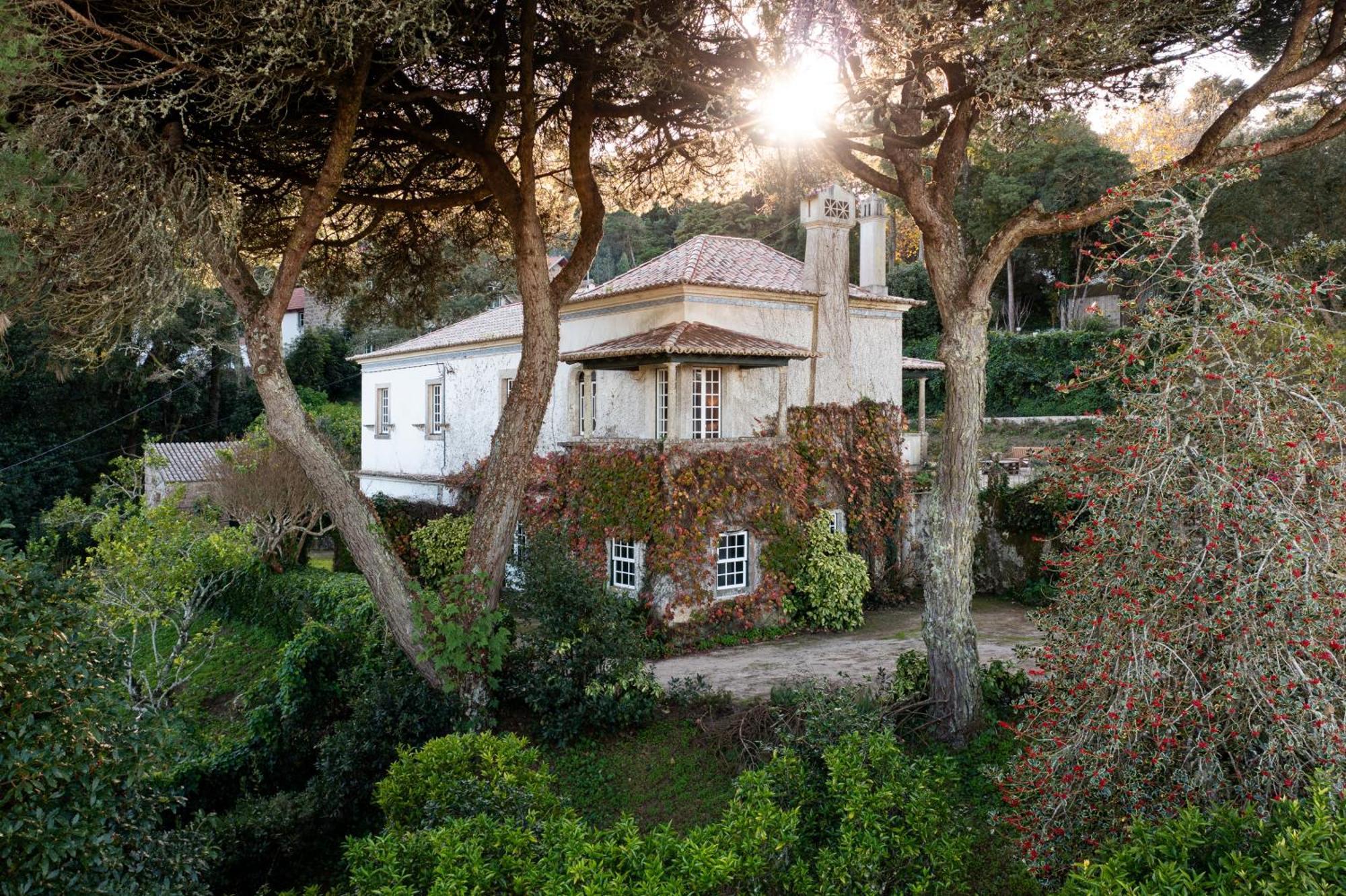Chalet Chapeu De Sol - سينترا المظهر الخارجي الصورة